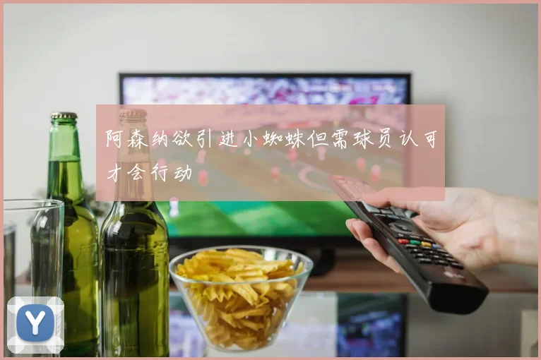 阿森纳欲引进小蜘蛛但需球员认可才会行动